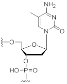 Unit Structure: 5-Methyl-Deoxycytidine